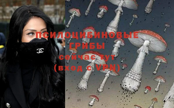 гашишное масло Алексеевка