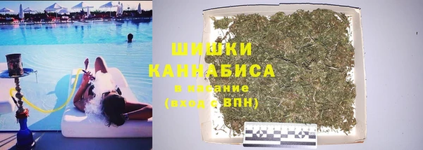 spice Алзамай