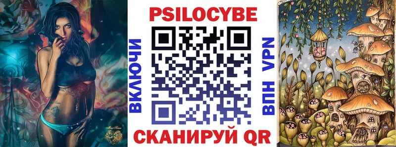 гидра tor Зубцов Псилоцибиновые грибы MAGIC MUSHROOMS